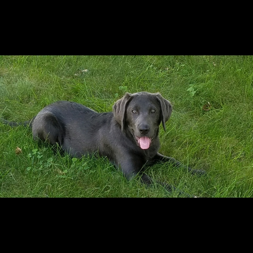 Meet your Posher, Nikki